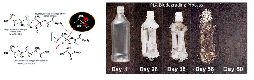 PLA biodegrading process
