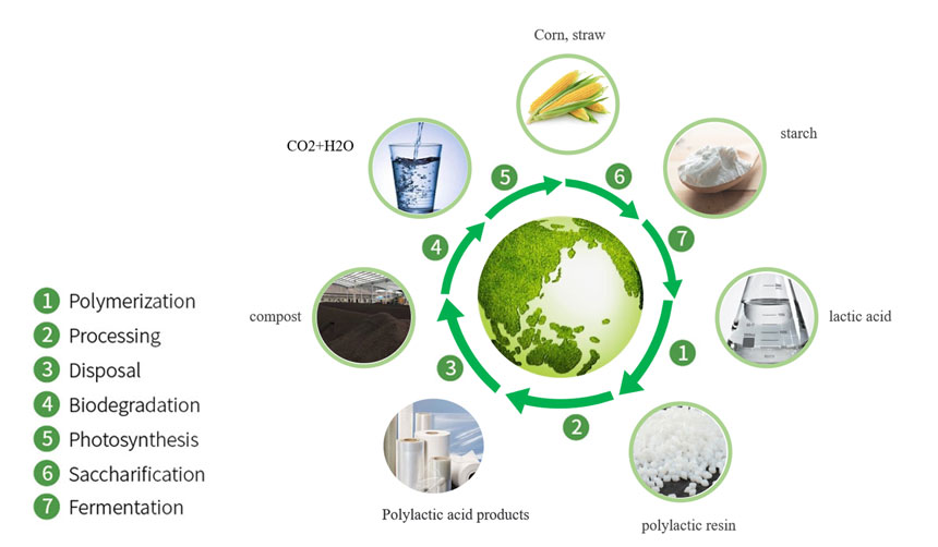 PLA Degradable cycle diagram