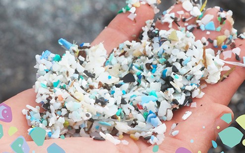 oxo-degradable plastics