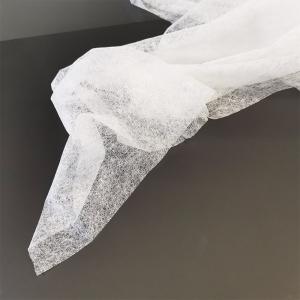 copolyester Adhesive Web