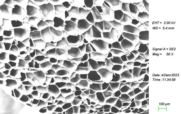 Degradable food packaging material - PLA foam material