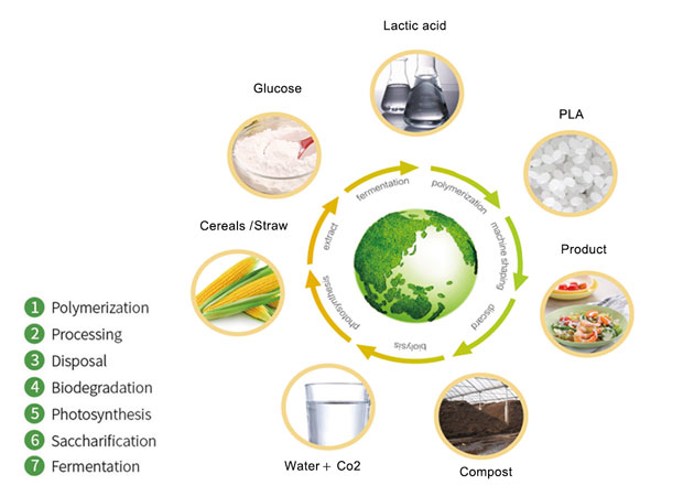 Bio-Degradable food packaging material - PLA pellets resin has become the new darling of the food packaging industry