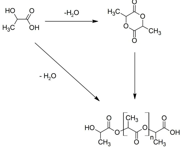 The Process Of Polylactic Acid
